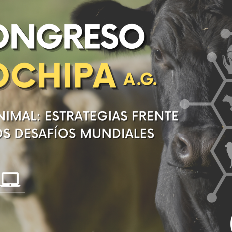 banner-congreso-sochipa