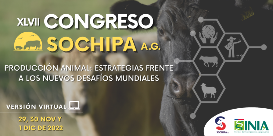 banner-congreso-sochipa