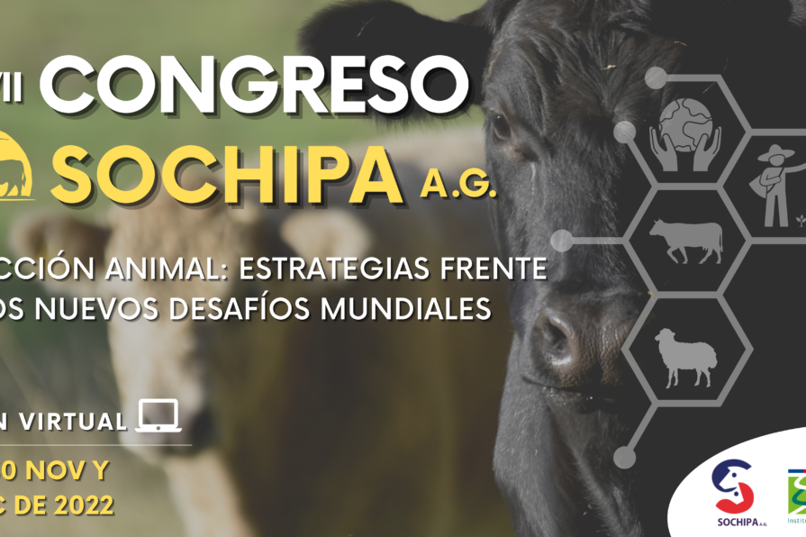banner-congreso-sochipa