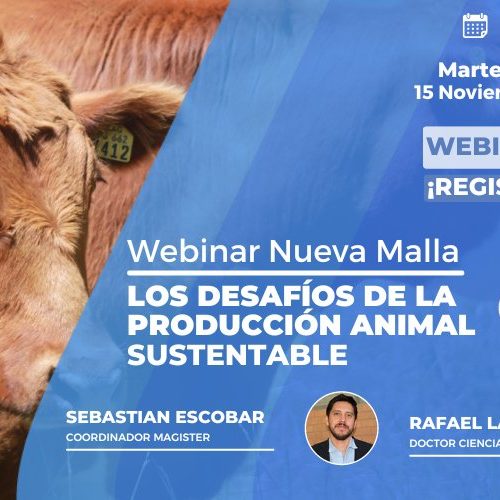 Webinar Los desafíos de la producción animal sustentable Webinar Los desafíos de la producción animal sustentable