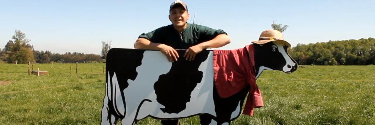 tu tesis en 3 minutos