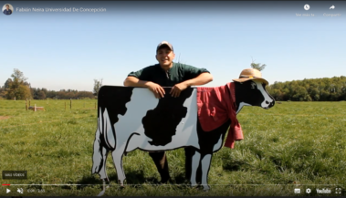 tu tesis en 3 minutos