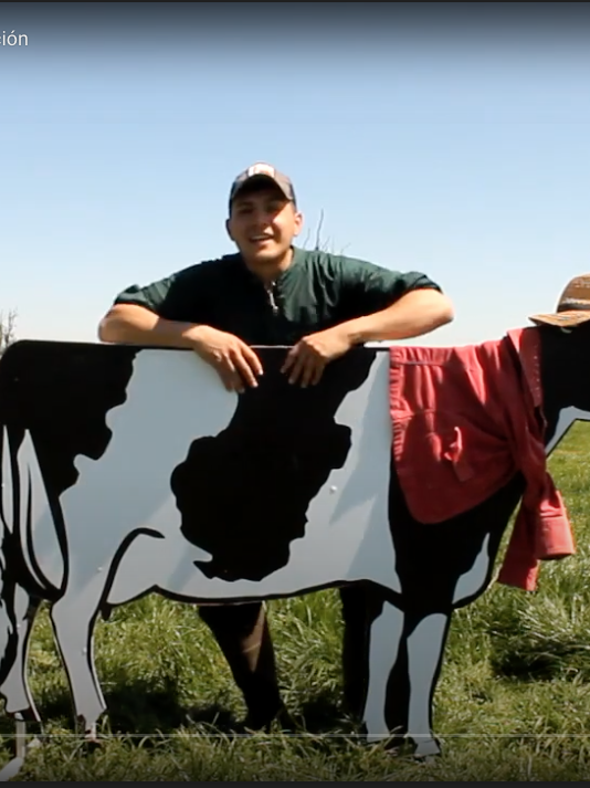 tu tesis en 3 minutos tu tesis en 3 minutos