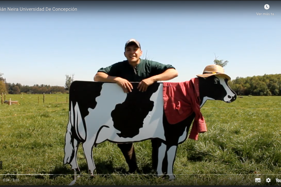 tu tesis en 3 minutos