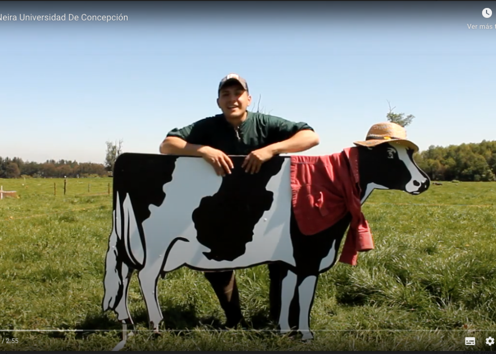 tu tesis en 3 minutos