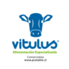 vitilus