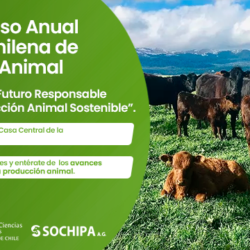XLIX Congreso Anual Sochipa XLIX Congreso Anual Sochipa