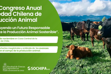 XLIX Congreso Anual Sochipa