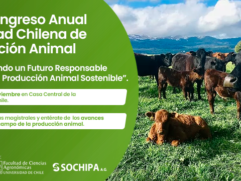 XLIX Congreso Anual Sochipa