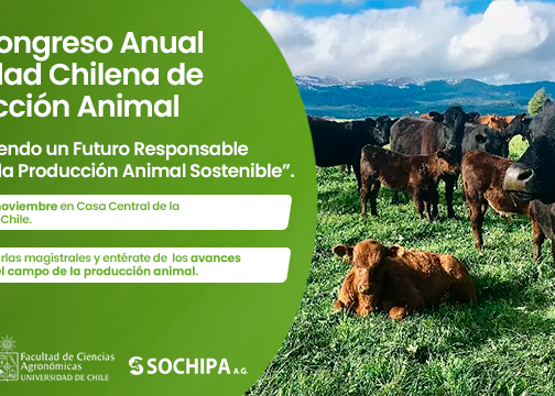 XLIX Congreso Anual Sochipa