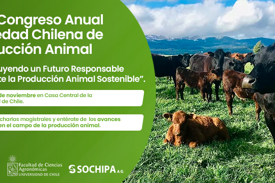 XLIX Congreso Anual Sochipa XLIX Congreso Anual Sochipa
