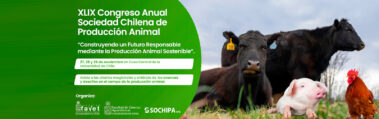 XLIX Congreso Sochipa