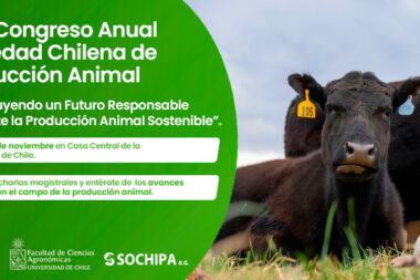 XLIX Congreso Sochipa