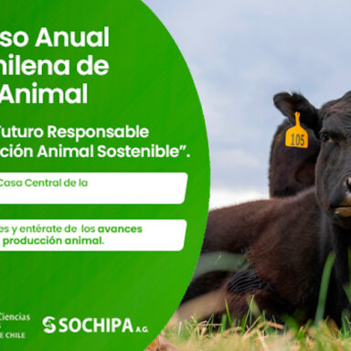 XLIX Congreso Sochipa