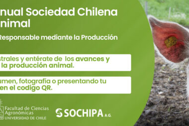 XLIX Congreso Anual Sochipa