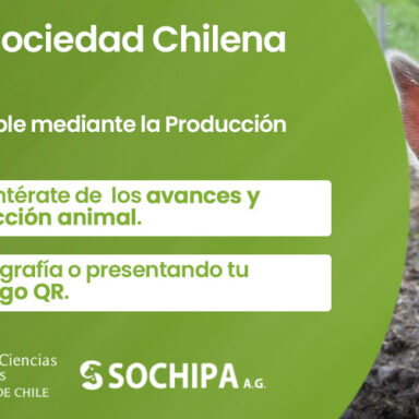 XLIX Congreso Anual Sochipa