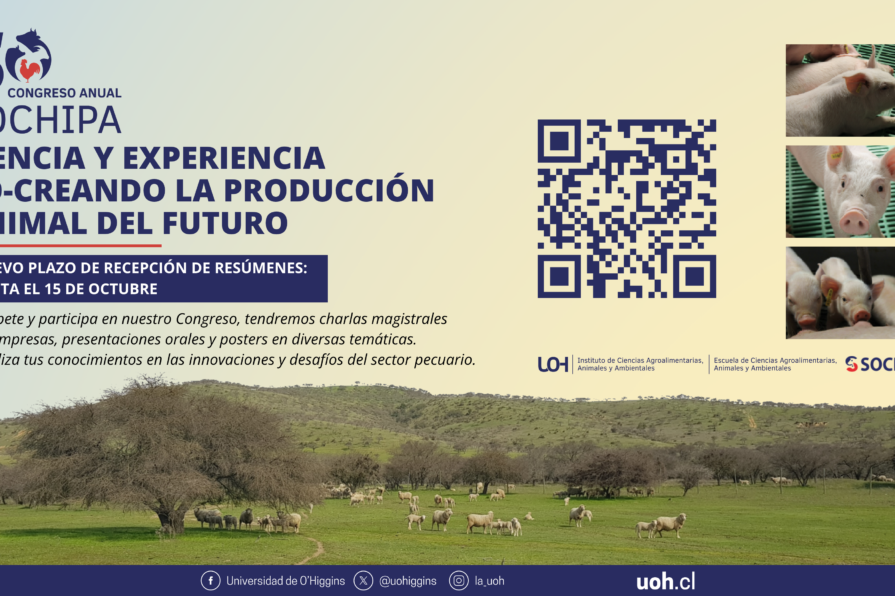 50-SOCHIPA-congreso2025