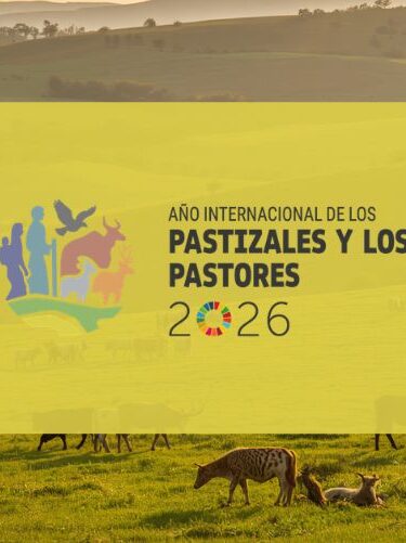 Pastizales y pastores 2026