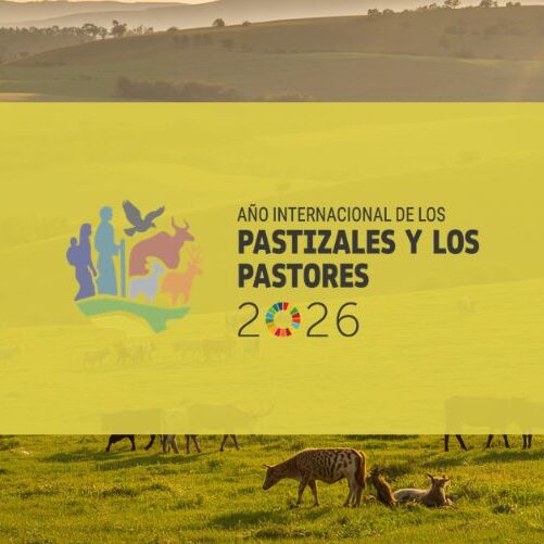 Pastizales y pastores 2026