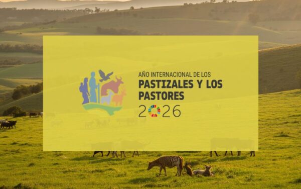 pastizal_imagen_destacada Pastizales y pastores 2026