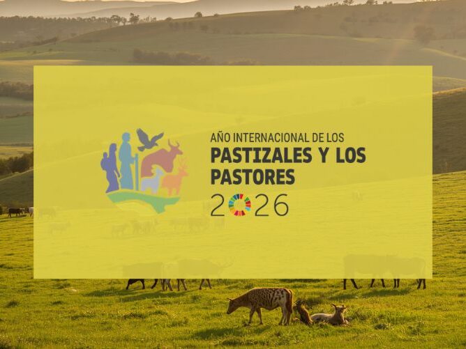 Pastizales y pastores 2026