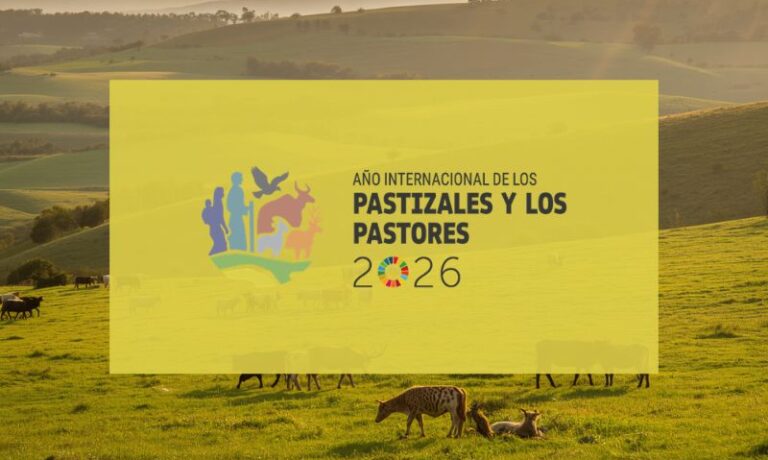 Pastizales y pastores 2026